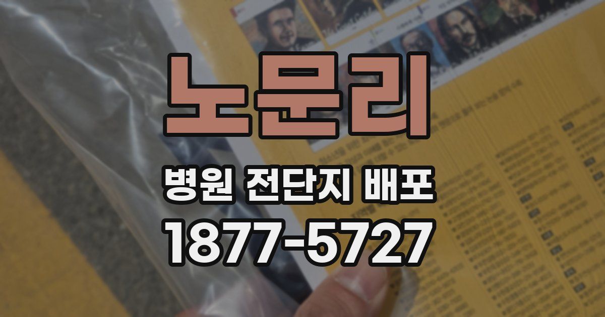 노문리 병원 전단지 배포
