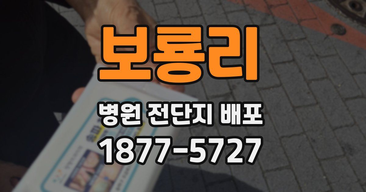보룡리 병원 전단지 배포