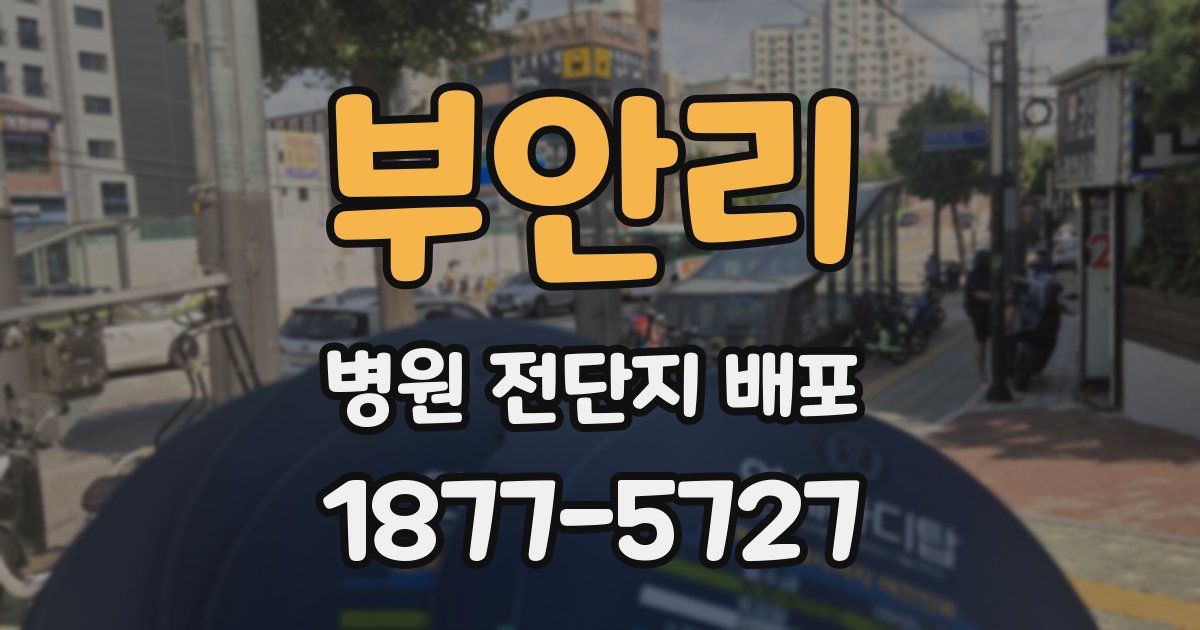 부안리 병원 전단지 배포