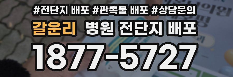 갈운리 병원 전단지 배포