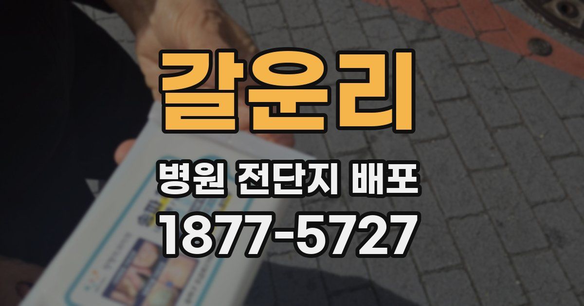 갈운리 병원 전단지 배포