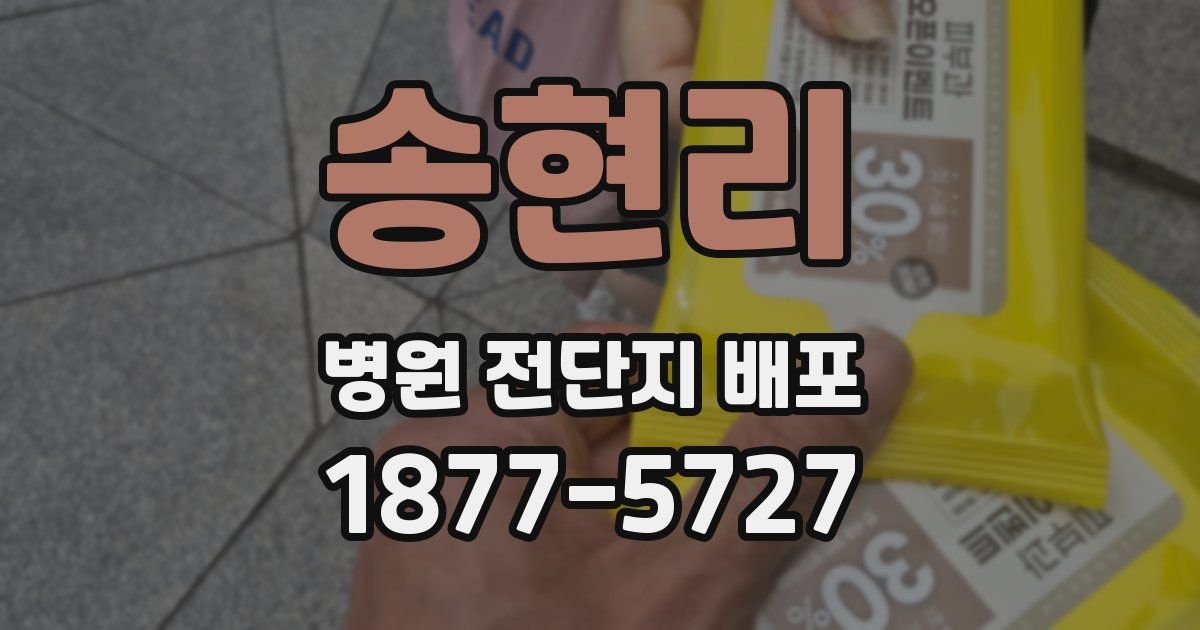 송현리 병원 전단지 배포