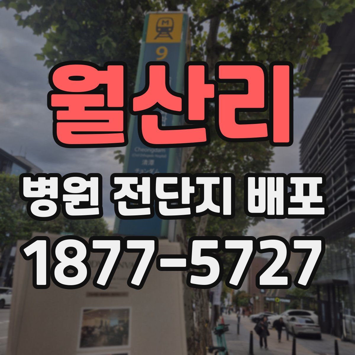 월산리 병원 전단지 배포
