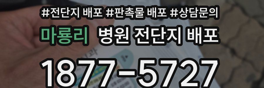 마룡리 병원 전단지 배포