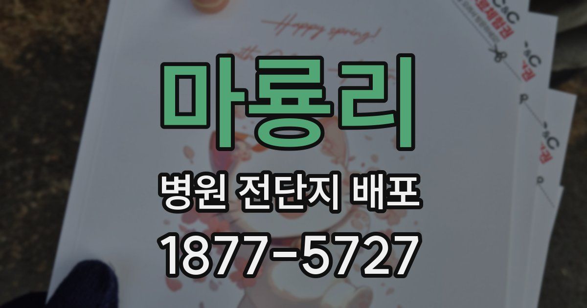 마룡리 병원 전단지 배포