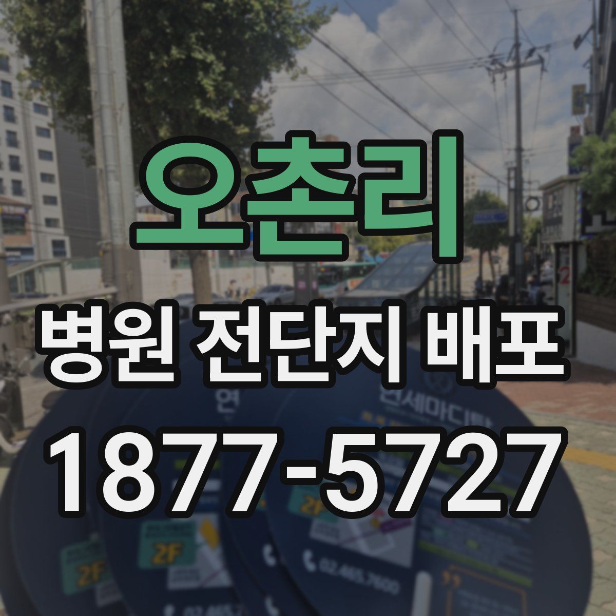 오촌리 병원 전단지 배포