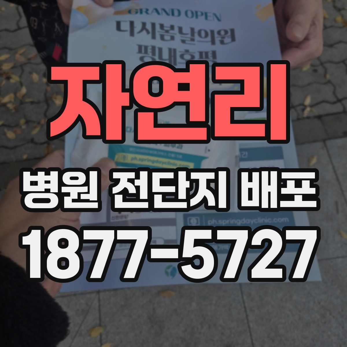 자연리 병원 전단지 배포