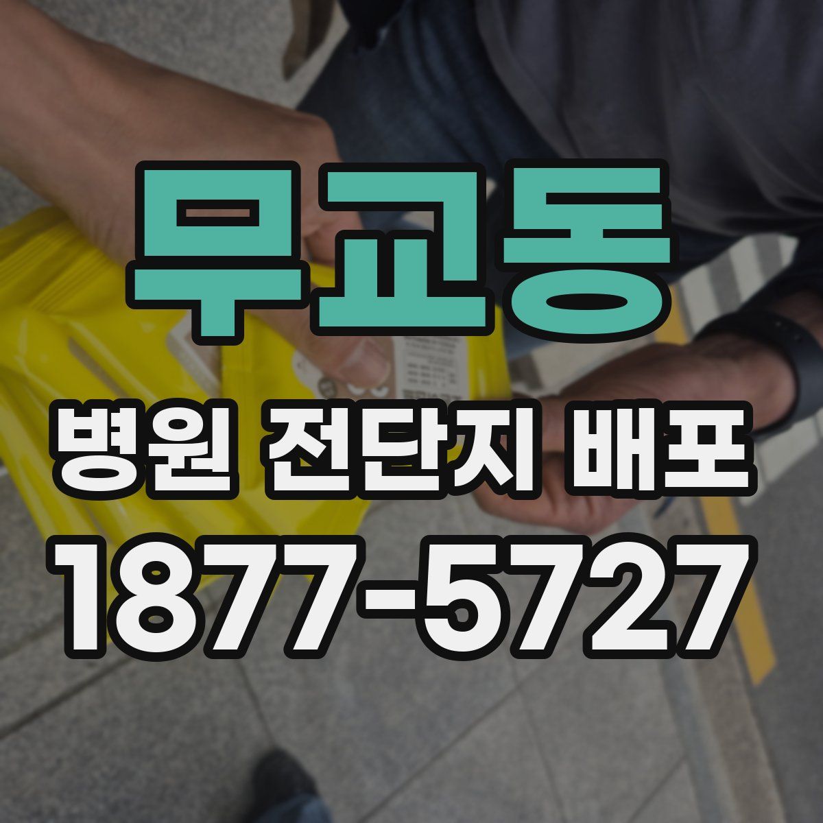 무교동 병원 전단지 배포