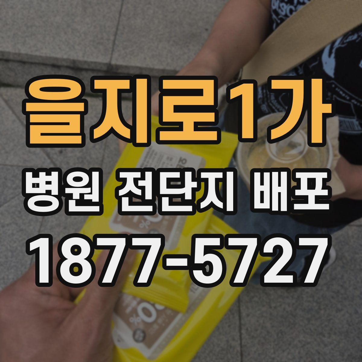 을지로1가 병원 전단지 배포