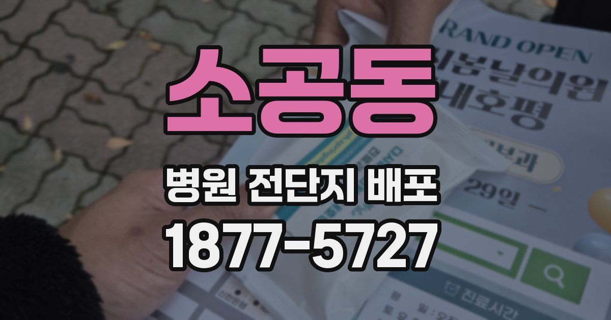 소공동 병원 전단지 배포