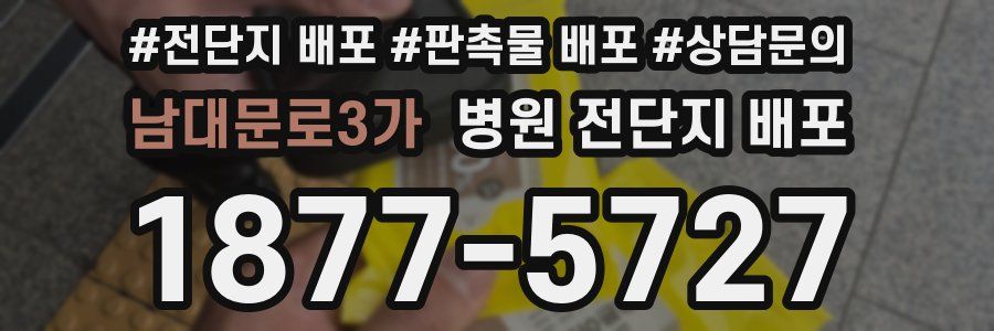 남대문로3가 병원 전단지 배포