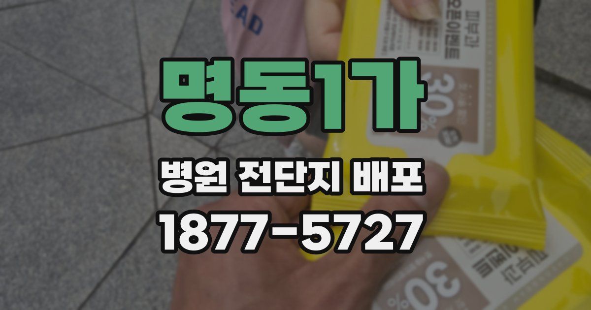 명동1가 병원 전단지 배포