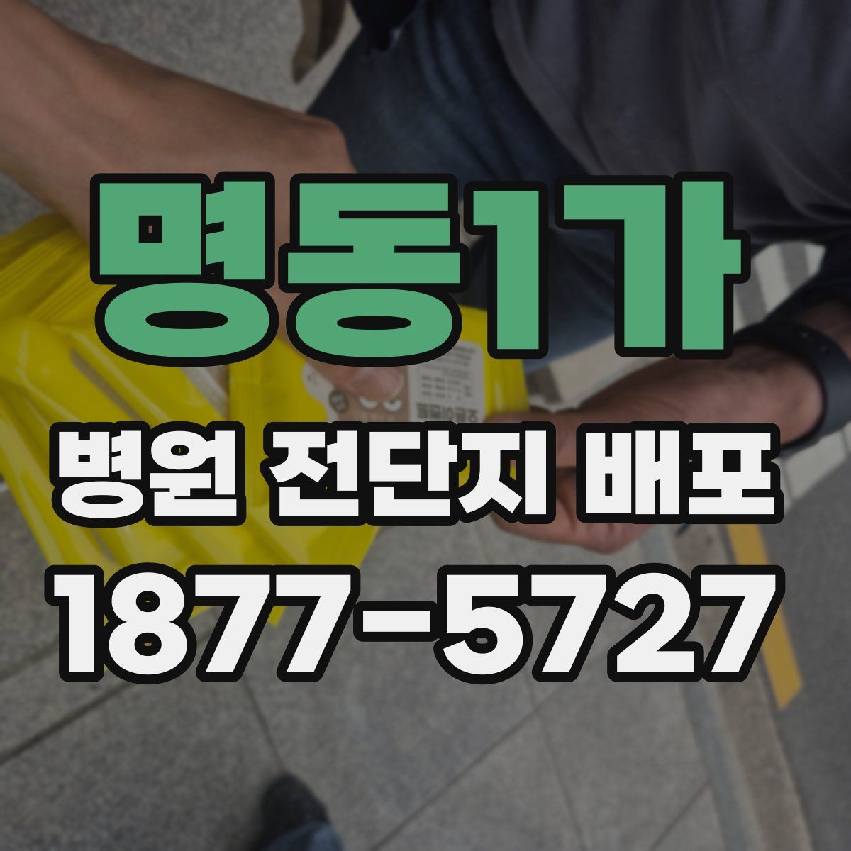 명동1가 병원 전단지 배포