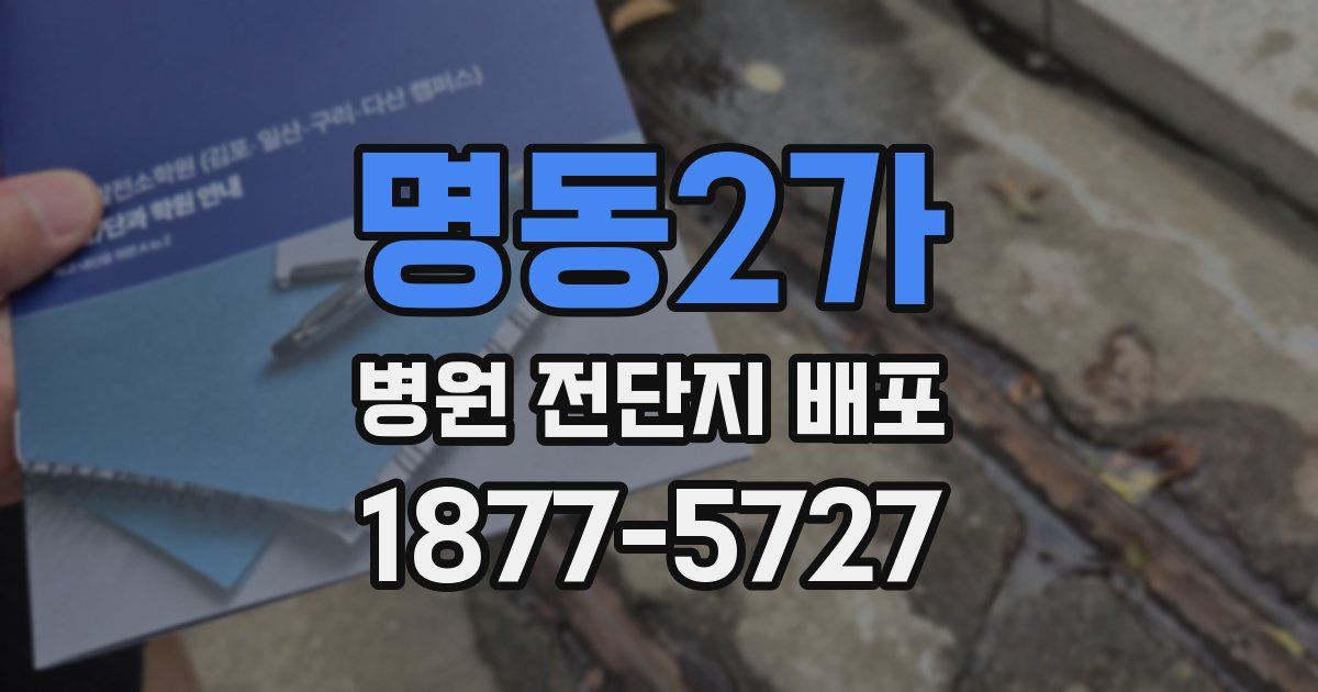 명동2가 병원 전단지 배포