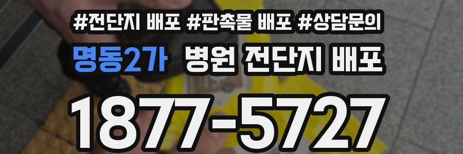 명동2가 병원 전단지 배포