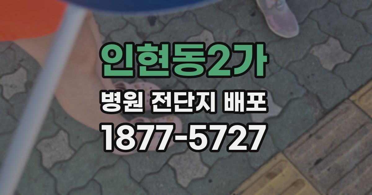 인현동2가 병원 전단지 배포