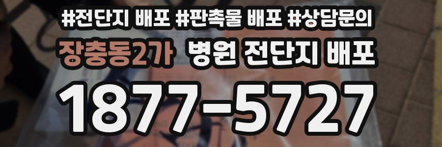 장충동2가 병원 전단지 배포