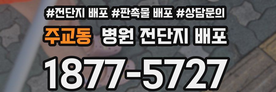주교동 병원 전단지 배포