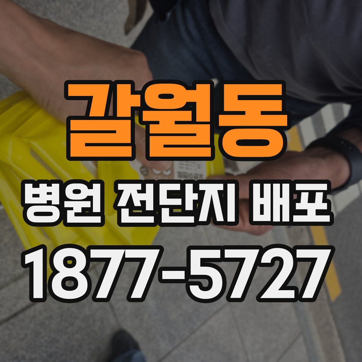 갈월동 병원 전단지 배포