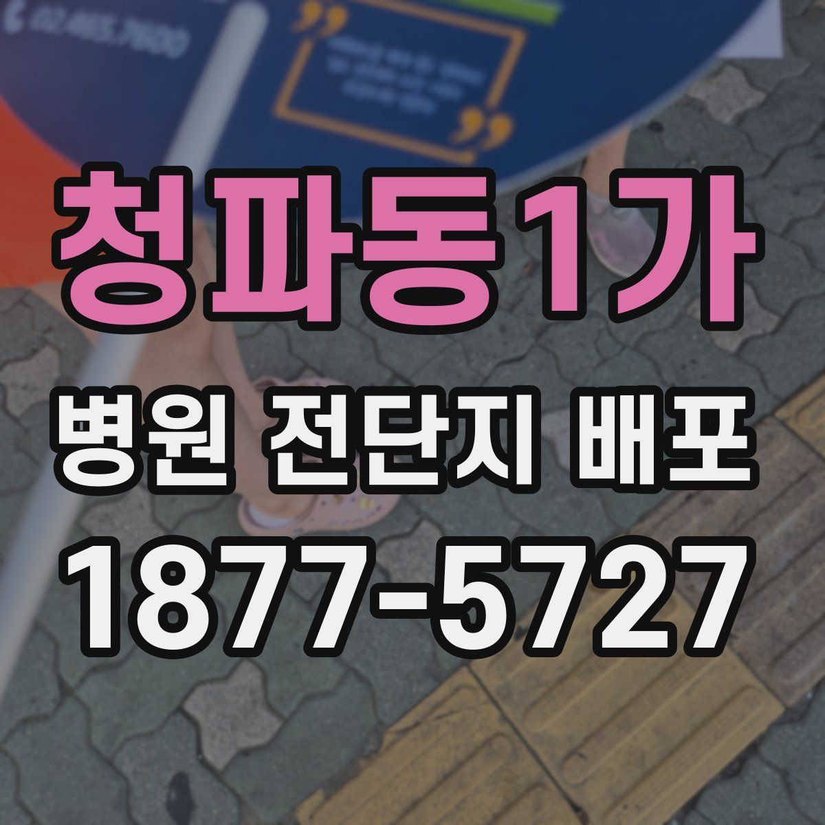청파동1가 병원 전단지 배포