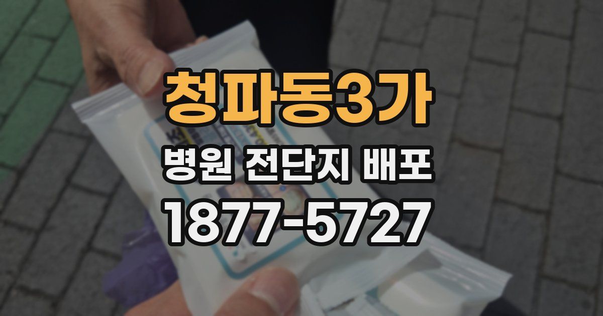 청파동3가 병원 전단지 배포