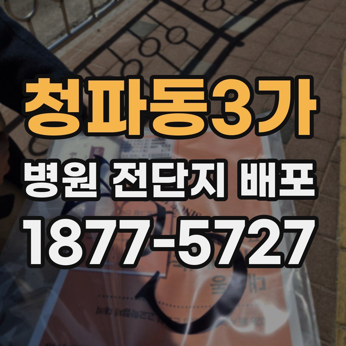 청파동3가 병원 전단지 배포