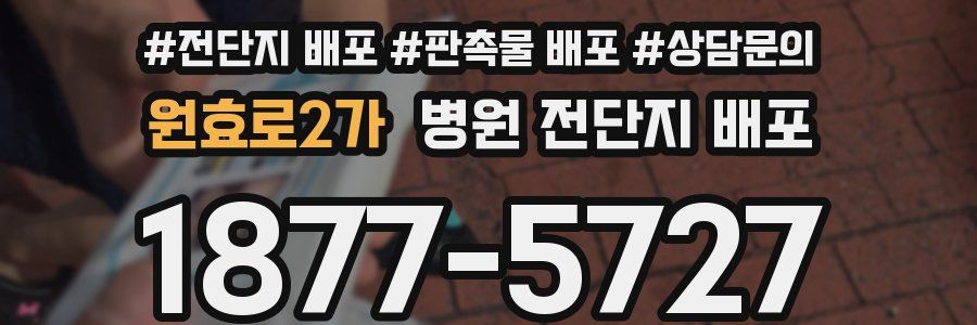 원효로2가 병원 전단지 배포
