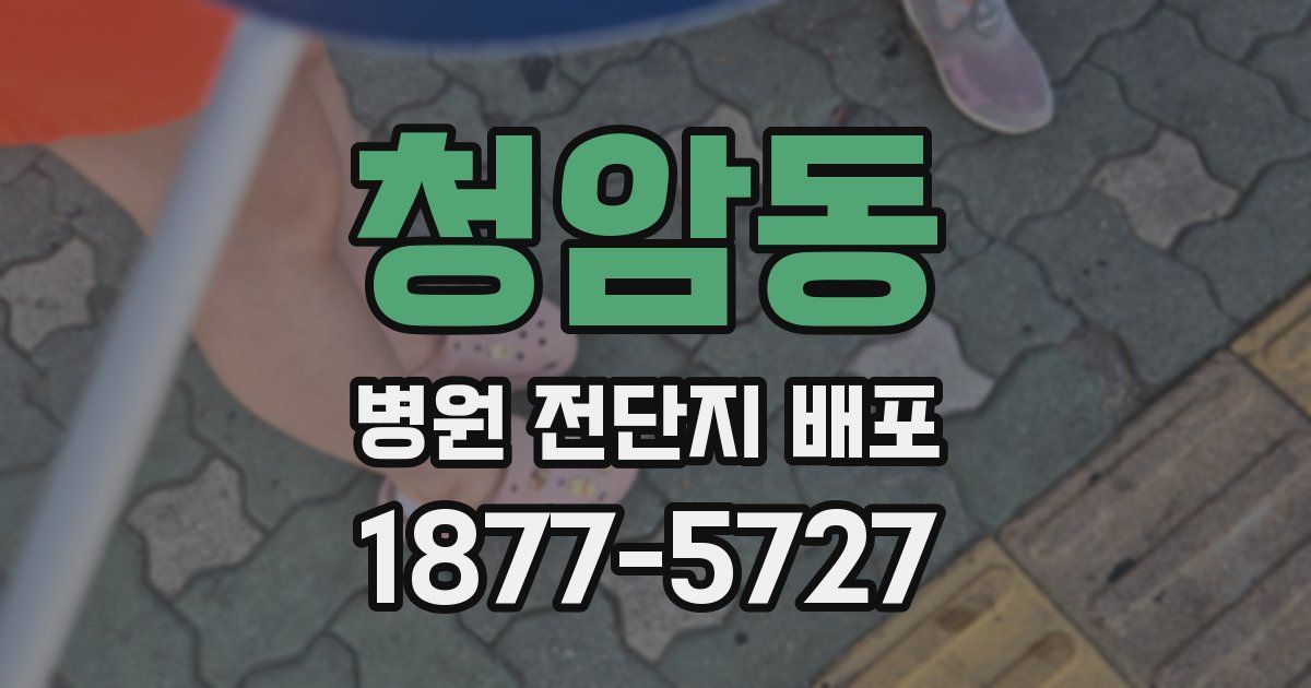 청암동 병원 전단지 배포