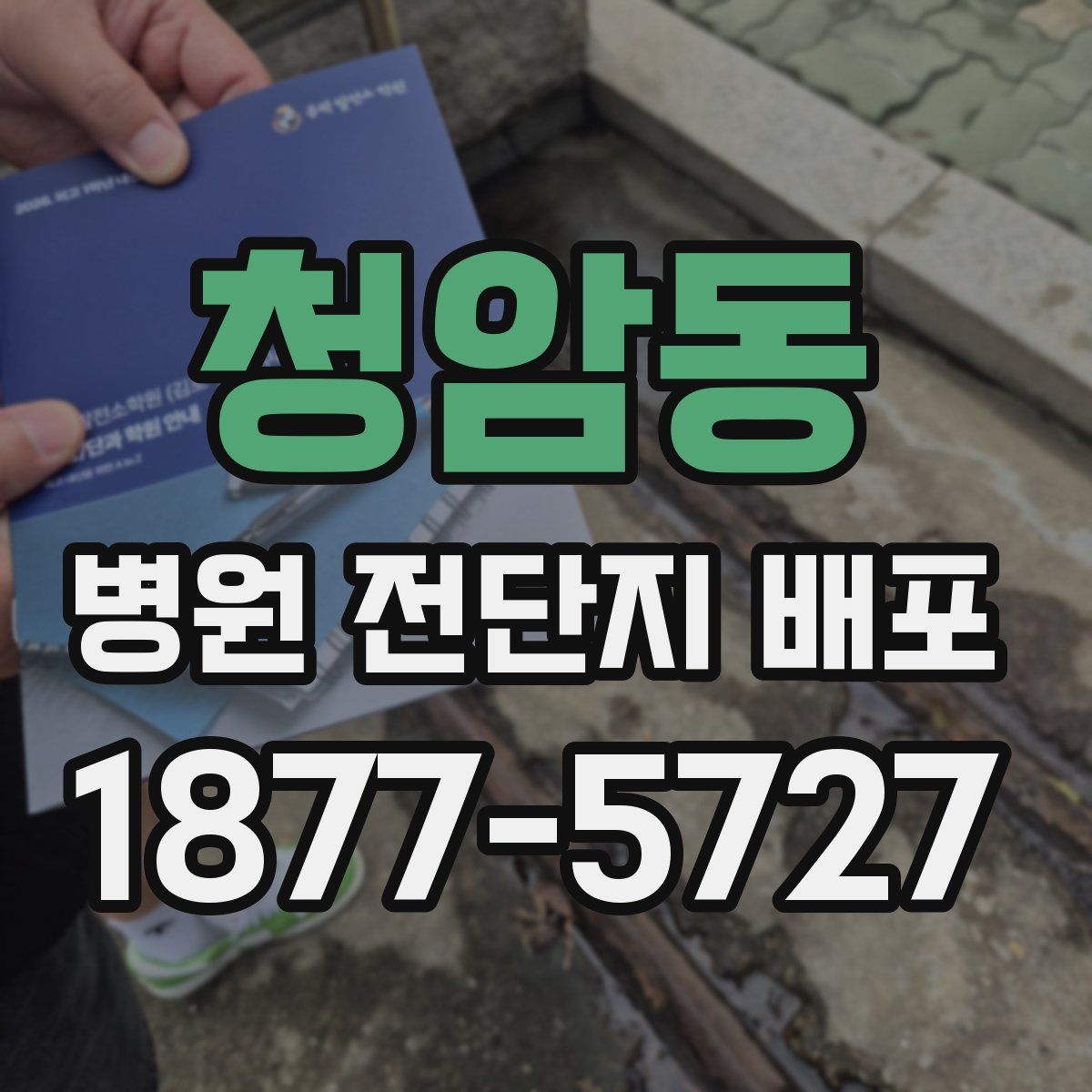 청암동 병원 전단지 배포