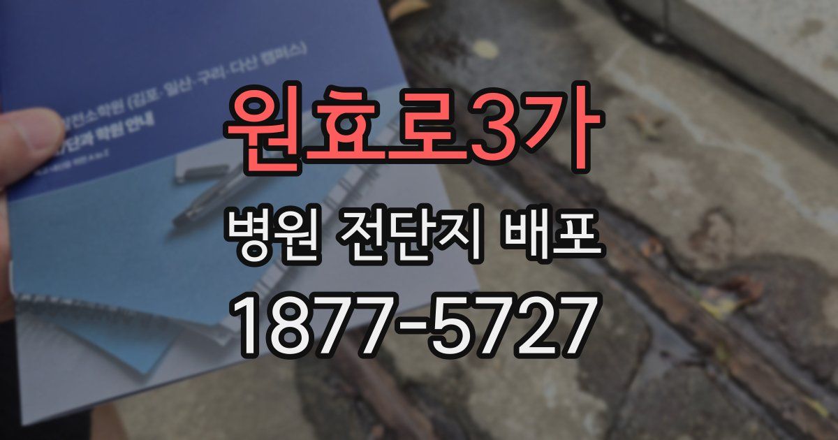 원효로3가 병원 전단지 배포