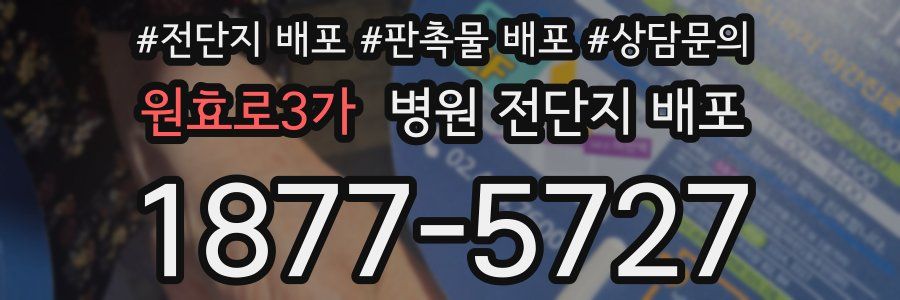 원효로3가 병원 전단지 배포