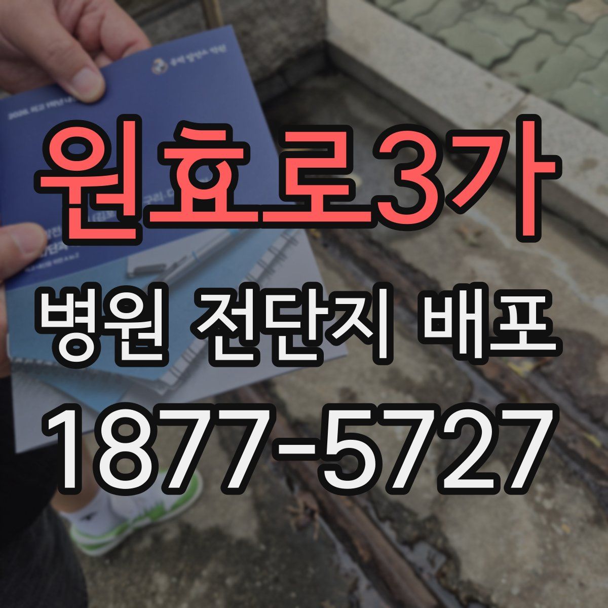원효로3가 병원 전단지 배포