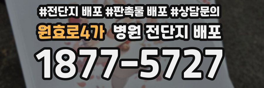 원효로4가 병원 전단지 배포