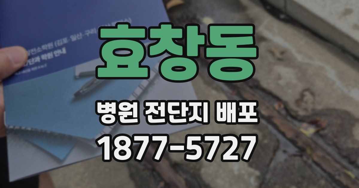 효창동 병원 전단지 배포