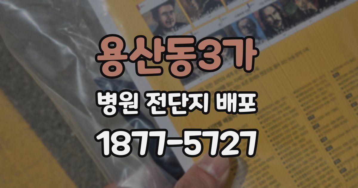 용산동3가 병원 전단지 배포