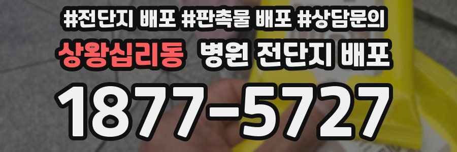 상왕십리동 병원 전단지 배포