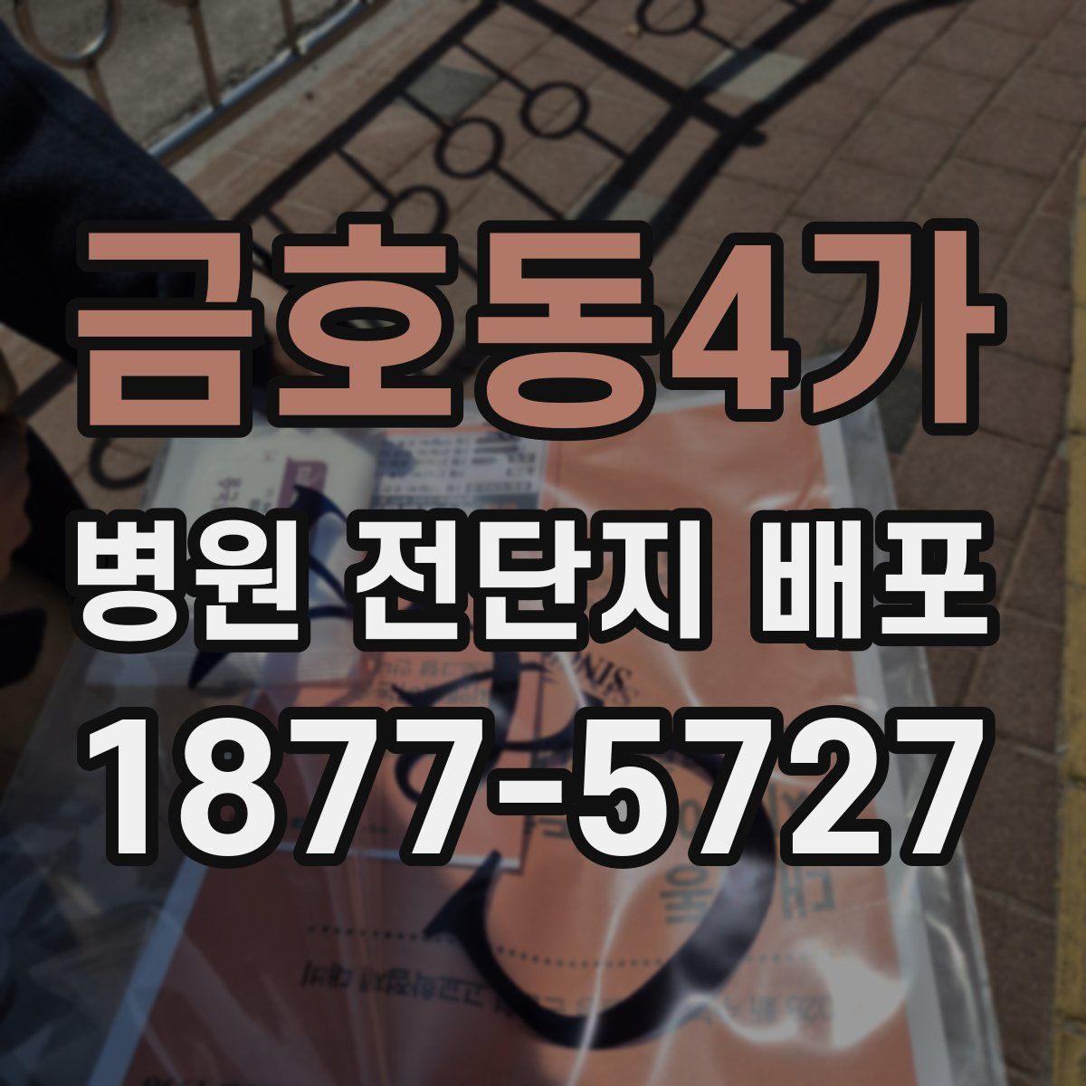 금호동4가 병원 전단지 배포