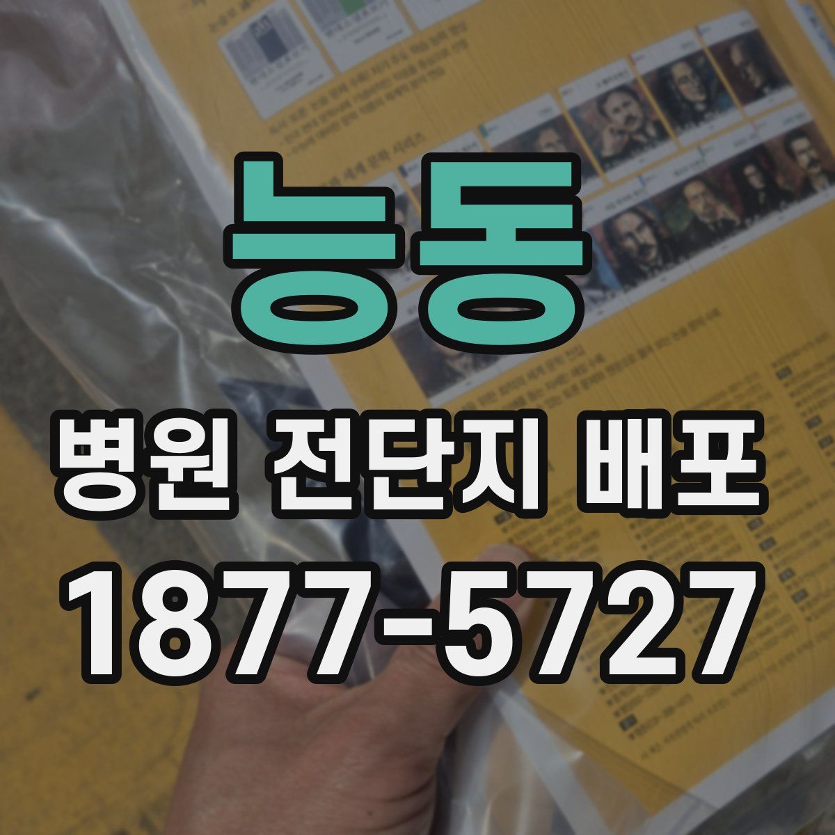 능동 병원 전단지 배포