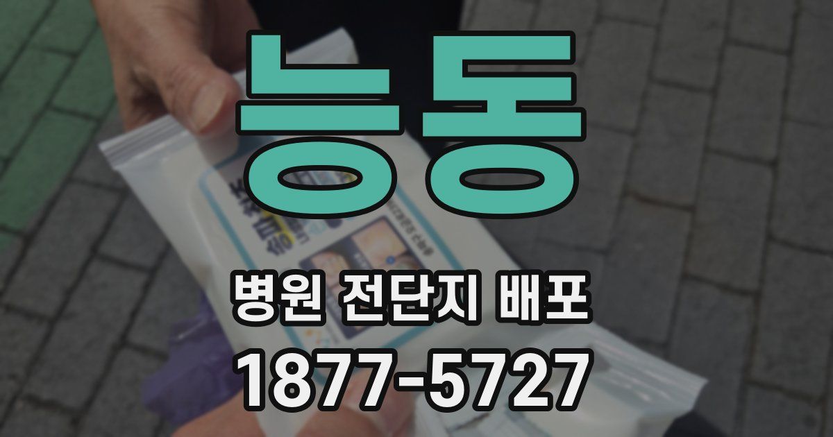 능동 병원 전단지 배포