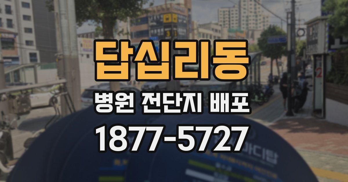 답십리동 병원 전단지 배포
