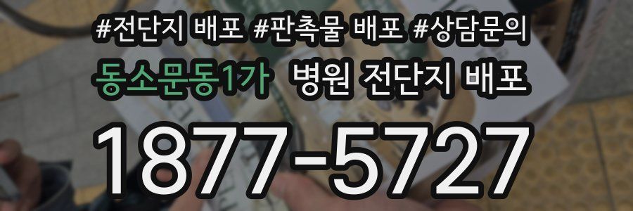 동소문동1가 병원 전단지 배포