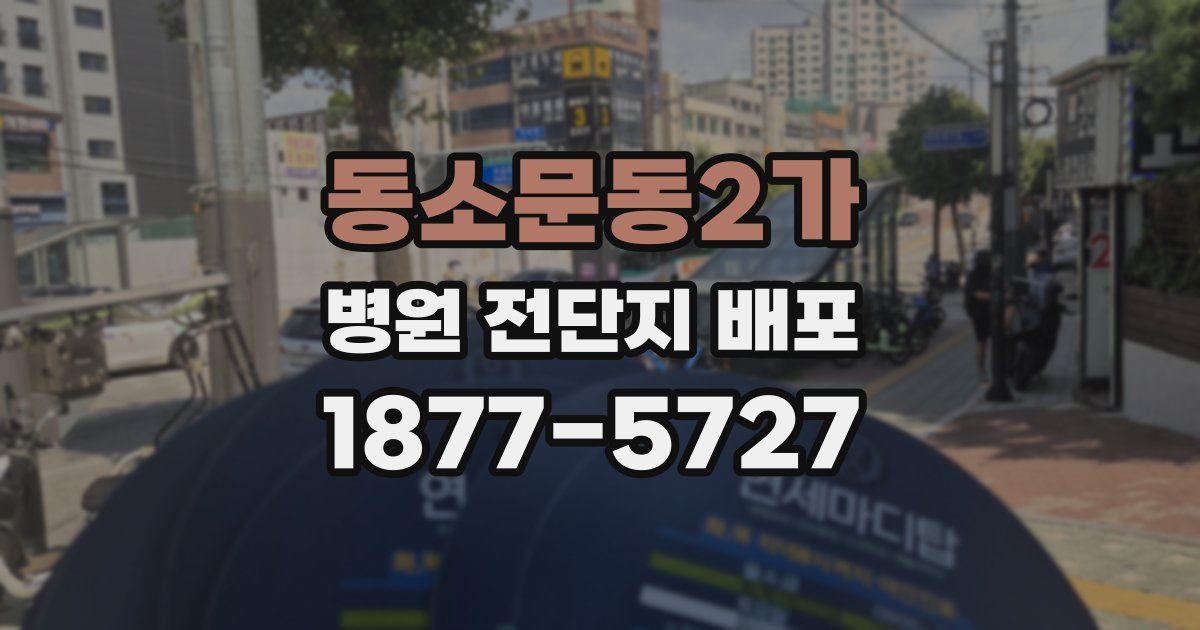 동소문동2가 병원 전단지 배포