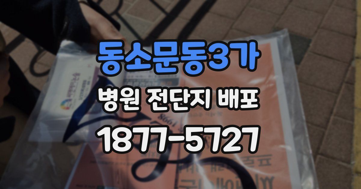 동소문동3가 병원 전단지 배포