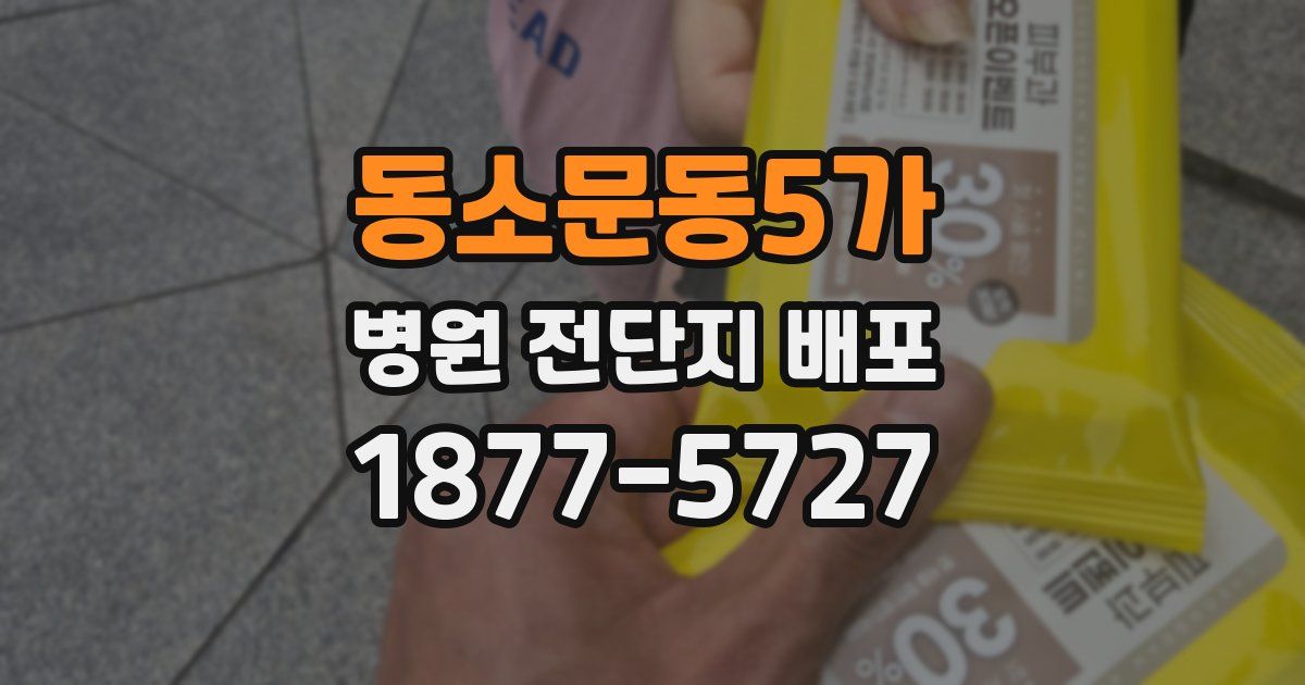 동소문동5가 병원 전단지 배포