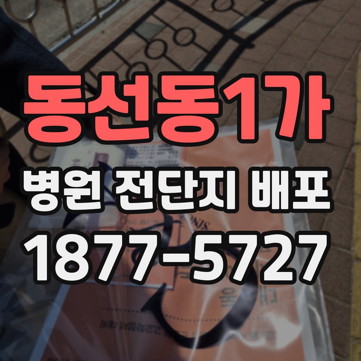 동선동1가 병원 전단지 배포