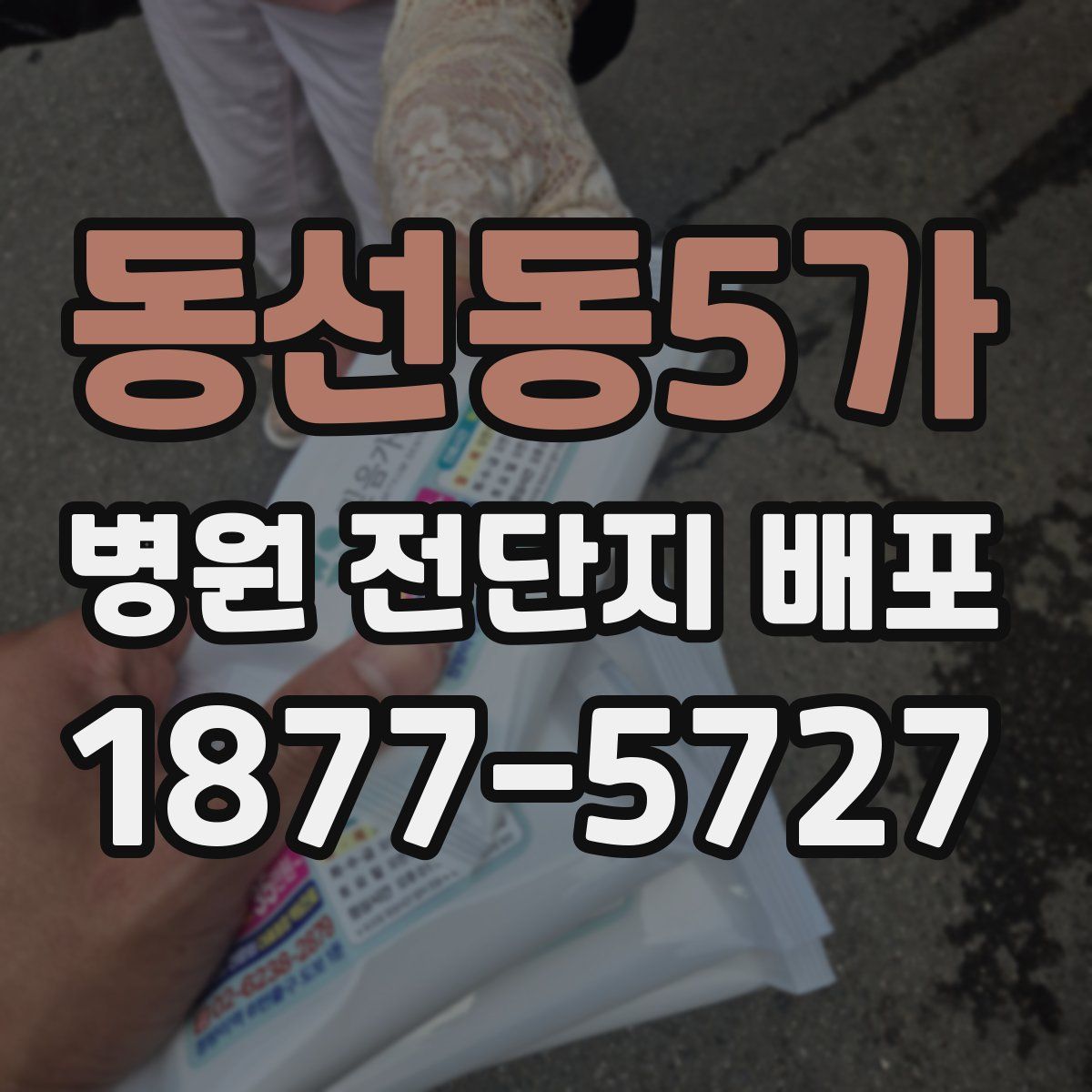 동선동5가 병원 전단지 배포