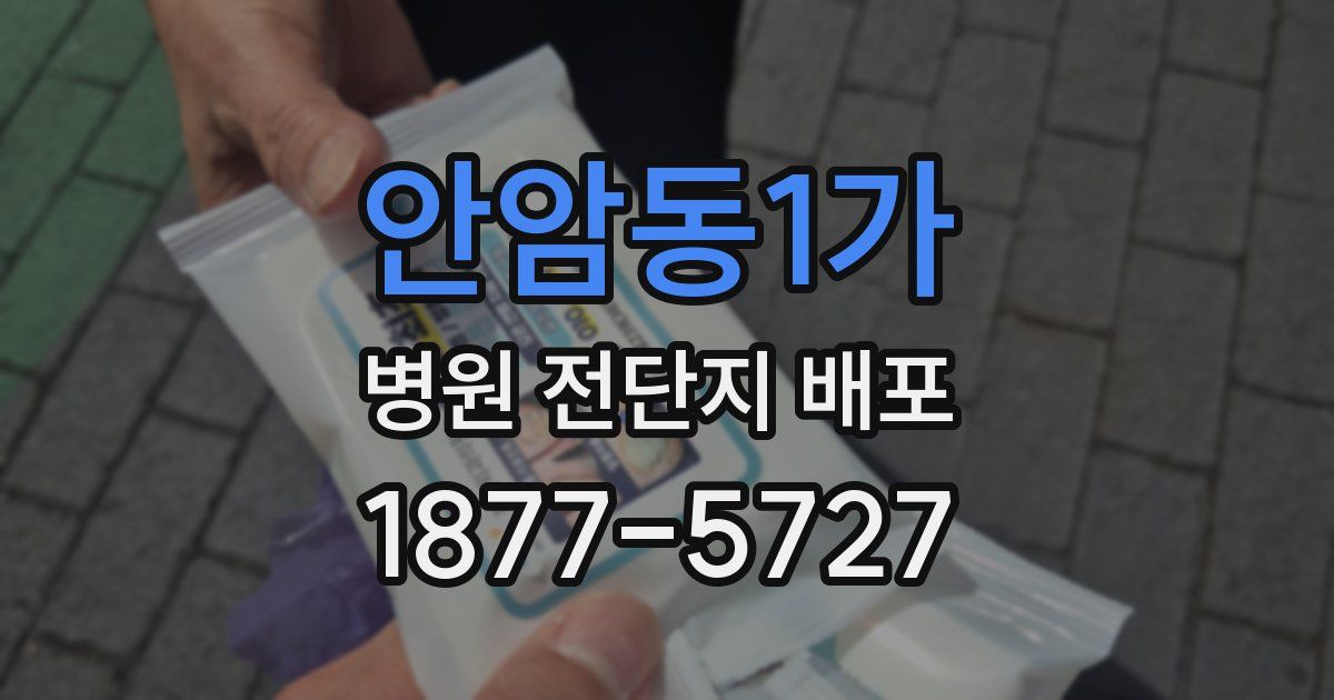 안암동1가 병원 전단지 배포