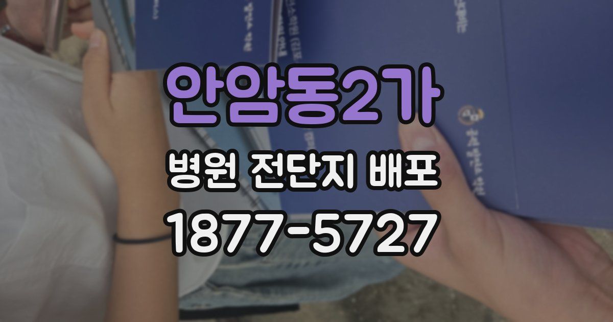 안암동2가 병원 전단지 배포
