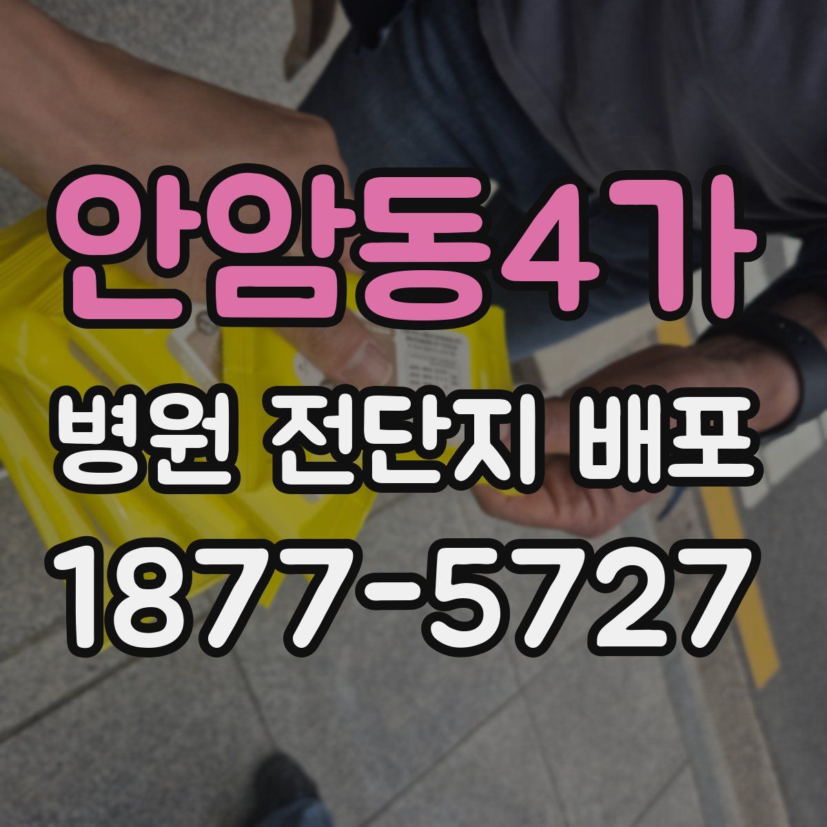 안암동4가 병원 전단지 배포