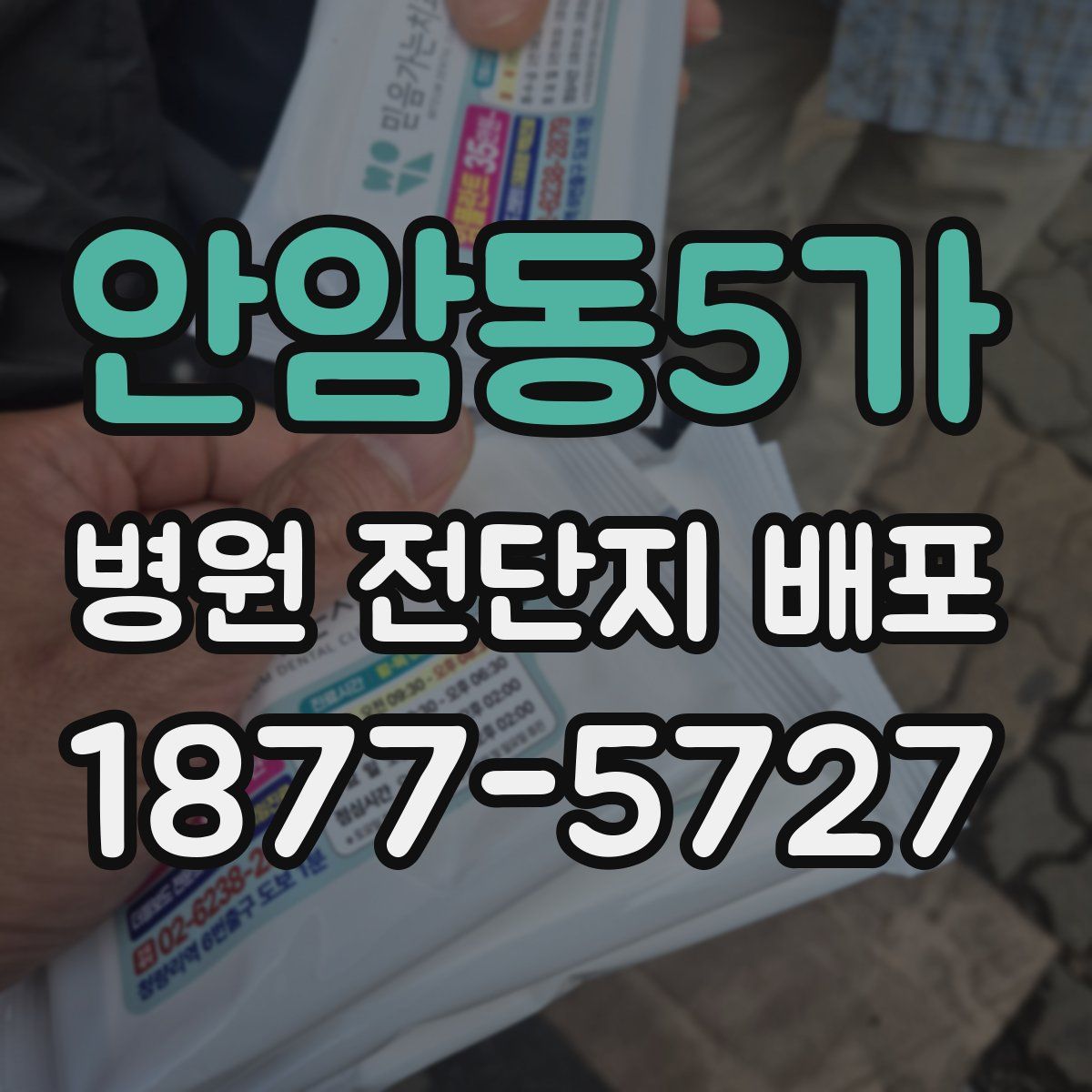 안암동5가 병원 전단지 배포